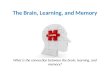 The Brain, Learning, and Memory