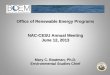 Office of Renewable Energy Programs NAC-CESU Annual Meeting June 12, 2013 Mary C. Boatman, Ph.D