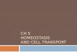 Ch 5 Homeostasis  and cell transport