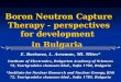 Boron Neutron Capture Therapy - perspectives for development  in Bulgaria
