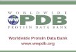 Worldwide Protein Data Bank wwpdb