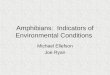 Amphibians:  Indicators of Environmental Conditions