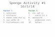 Sponge Activity #1 16/5/14