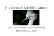 The Birds of San Elijo Lagoon