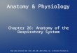 Chapter 26 Physiology of the Digestive System