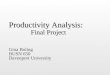 Productivity Analysis: Final Project