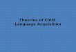 Theories of Child  Language Acquisition