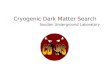 C ryogenic  D ark  M atter  S earch                          Soudan Underground Laboratory