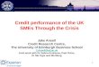 Credit performance of the UK SMEs Through the Crisis