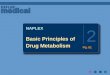 Basic Principles of Drug Metabolism