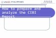 How to prepare and analyze the CIBI Report