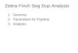 Zebra Finch Seg Dup Analysis