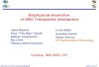 Biophysical dissection  of ABC Transporter mechanism