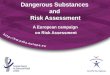 Dangerous Substances  and  Risk Assessment