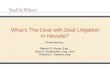What’s The Deal with Deal Litigation in Nevada?