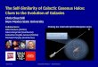 The Self-Similarity of Galactic Gaseous Halos: Clues to the Evolution of Galaxies
