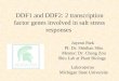 DDF1 and DDF2: 2 transcription factor genes involved in salt stress responses