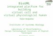 BioUML  integrated platform for building  virtual cell and  virtual physiological human