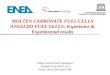 MOLTEN CARBONATE FUEL CELLS ANSALDO FUEL CELLS: Experience & Experimental results