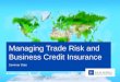Managing Trade Risk and Business Credit Insurance