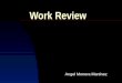 Work Review
