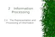 2 Information Processing