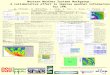 Western Weather Systems Workgroup:  A collaborative effort to improve weather information for IPM