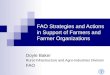 FAO Strategies and Actions in Support of Farmers and Farmer Organizations