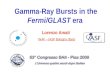 Gamma-Ray Bursts in the  Fermi/GLAST  era