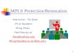 MPLS Protection/Restoration