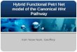 Hybrid Functional Petri Net model of the Canonical  Wnt  Pathway