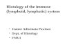 Histology of the immune (lymphoid, lymphatic) system