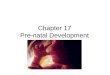 Chapter 17 Pre-natal Development