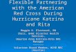 Flexible Partnering with the American Red Cross During Hurricane Katrina and Rita