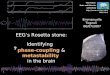EEG’s Rosetta stone: _ Identifying  _ phase-coupling  &  metastability in the brain