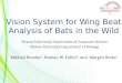Vision System for Wing Beat Analysis of Bats in the Wild