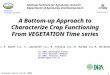 A Bottom-up Approach to Characterize Crop Functioning From VEGETATION Time series