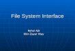 File System Interface