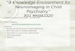 “ A Knowledge Environment for Neuroimaging in Child Psychiatry ” R01 MH083320