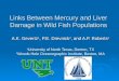 Links  Between  Mercury and  Liver Damage  in Wild  Fish Populations