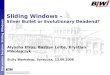Sliding Windows –  Silver Bullet or Evolutionary Deadend?