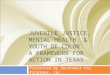 Juvenile Justice,  Mental Health, &  Youth of Color:  A Framework for Action in Texas 