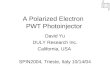 A Polarized Electron  PWT Photoinjector