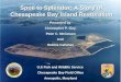 Spoil to Splendor: A Story of Chesapeake Bay Island Restoration
