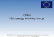 EGAN FEE synergy Working Group