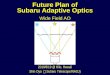 Future Plan of Subaru Adaptive Optics