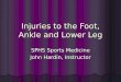Injuries to the Foot, Ankle and Lower Leg