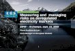Measuring and  managing risks on deregulated electricity markets
