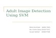 Adult Image Detection Using SVM
