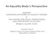 An Equality Body’s Perspective